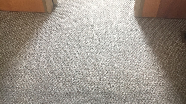 reliable Carpet cleaning